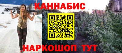 мяу мяу мука Гай