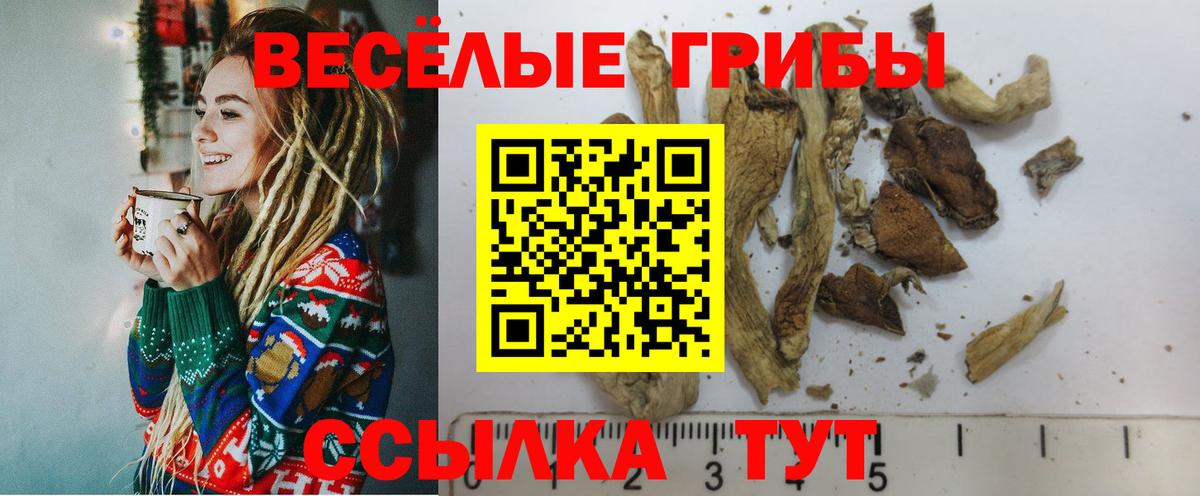 Галлюциногенные грибы мицелий Нефтеюганск
